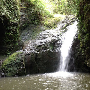 Meet your Posher, Lillian